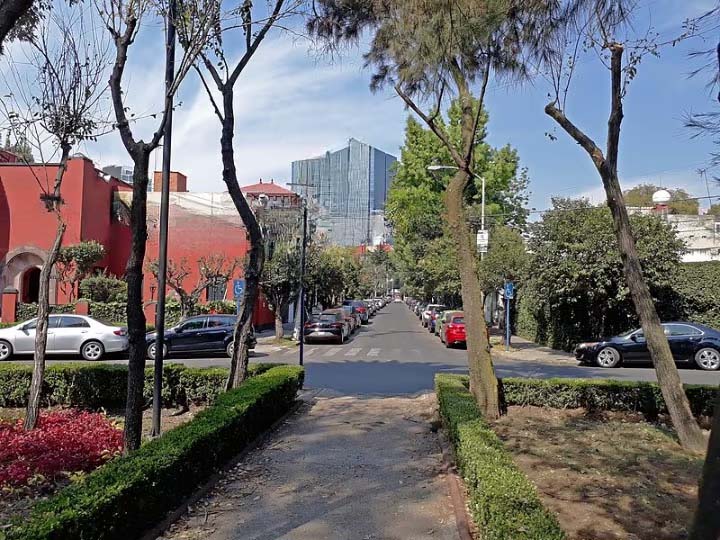 Historia guadalupe 03